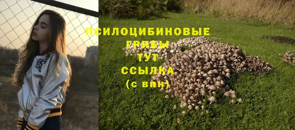 ешки Вязьма