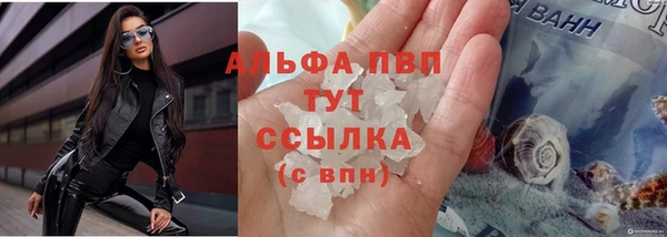 ГАЛЛЮЦИНОГЕННЫЕ ГРИБЫ Вязники