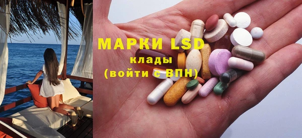 ГАЛЛЮЦИНОГЕННЫЕ ГРИБЫ Вязники