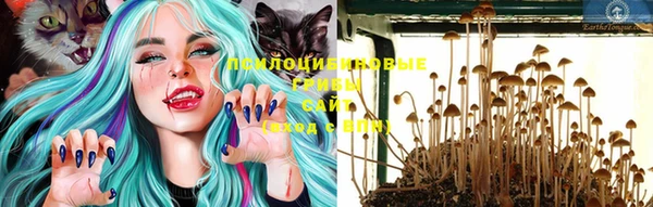 прущая мука Володарск