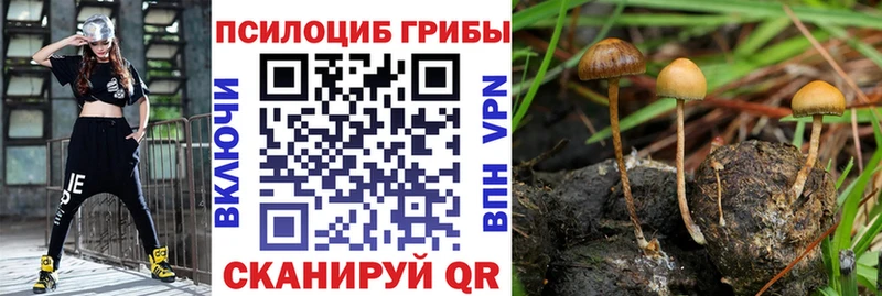 закладки  Камешково  Галлюциногенные грибы GOLDEN TEACHER 